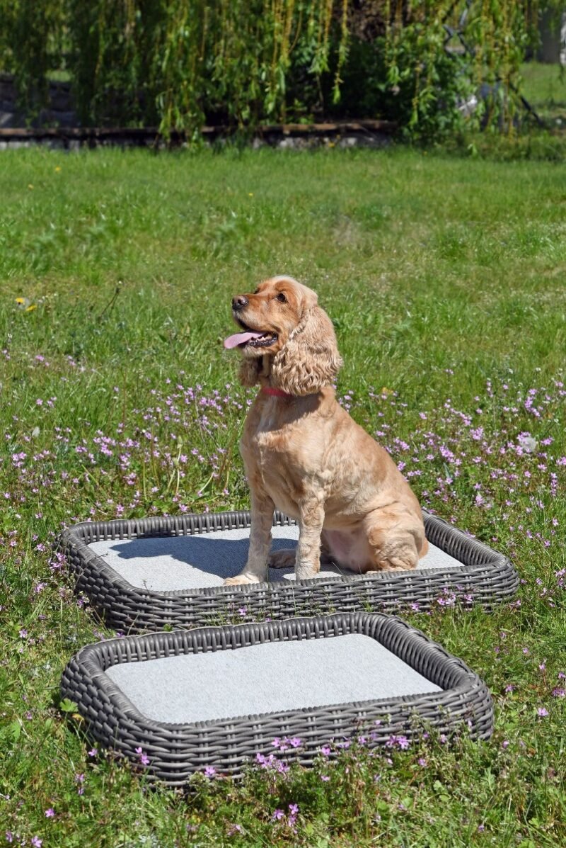 Dog bed outdoor M Maje Grey 60x50x10cm Miloo Home