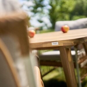 Stalas Boa 220x100x76cm