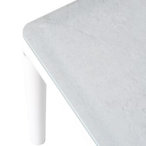 Stalas „Beri White“ 110x60xh32cm