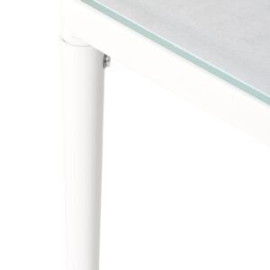 Stalas „Beri White“ 110x60xh32cm