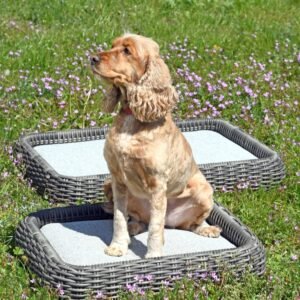 Dog bed L Maje Grey 60x60x10cm by Miloo Home