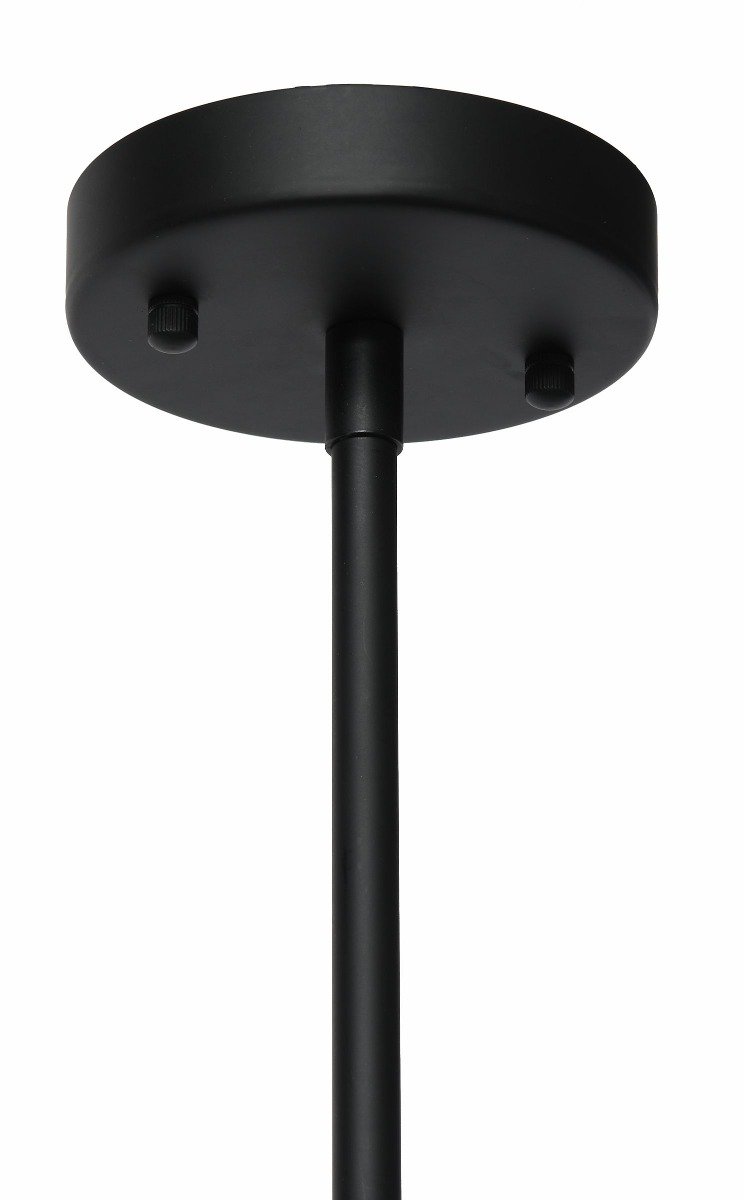 Pakabinama lempa „Twig“ 100x42 cm