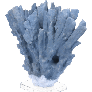 Mėlynas koralas East Hamptons 64x34x54cm